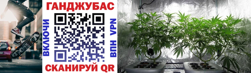 Магазины продажи наркотиков Нижнеудинск Alpha-PVP  Меф мяу мяу  МАРИХУАНА 