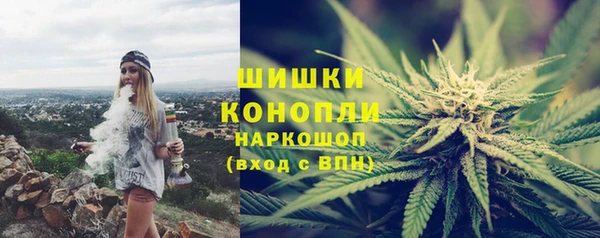 PSILOCYBIN Балахна