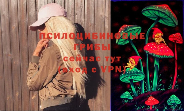 PSILOCYBIN Балахна